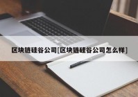 区块链硅谷公司[区块链硅谷公司怎么样]