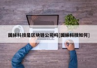 国脉科技是区块链公司吗[国脉科技如何]